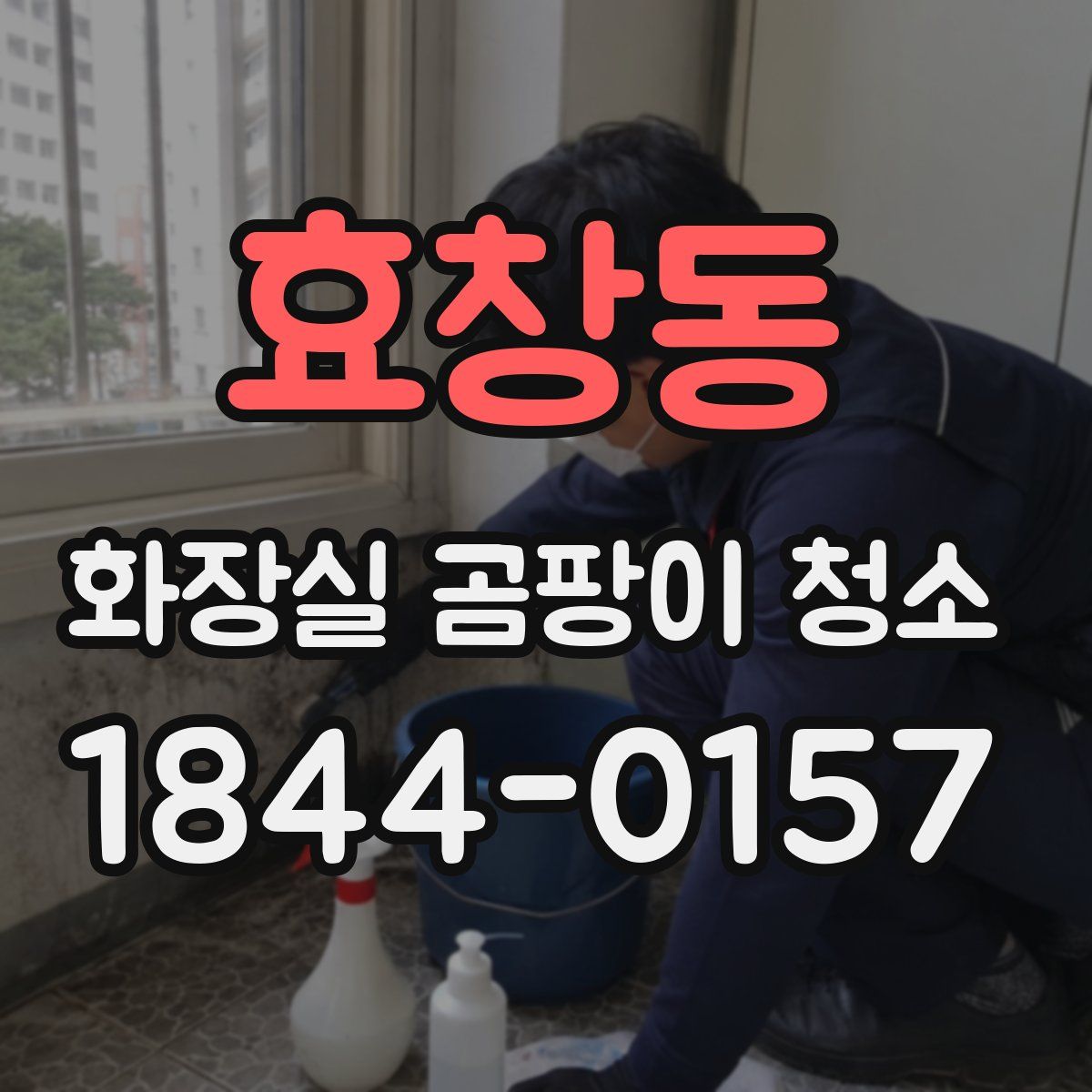 효창동 화장실 곰팡이 청소