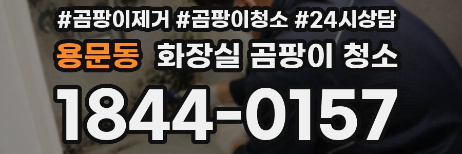 용문동 화장실 곰팡이 청소