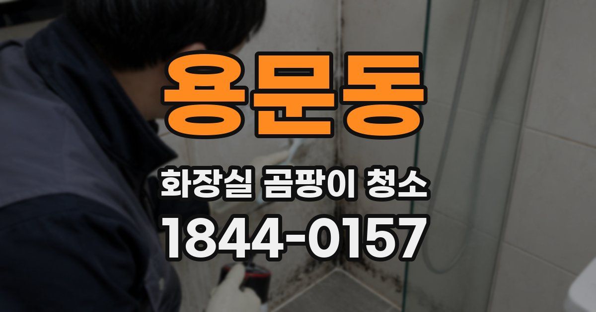 용문동 화장실 곰팡이 청소