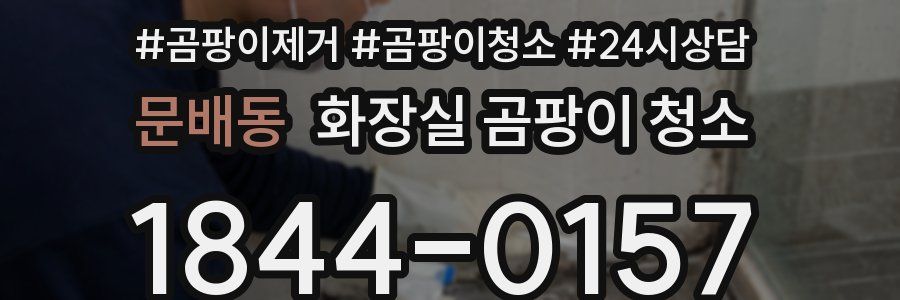 문배동 화장실 곰팡이 청소