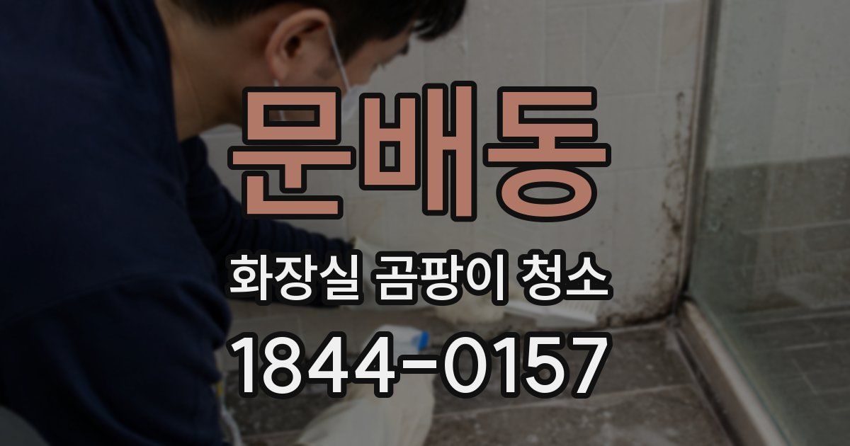문배동 화장실 곰팡이 청소