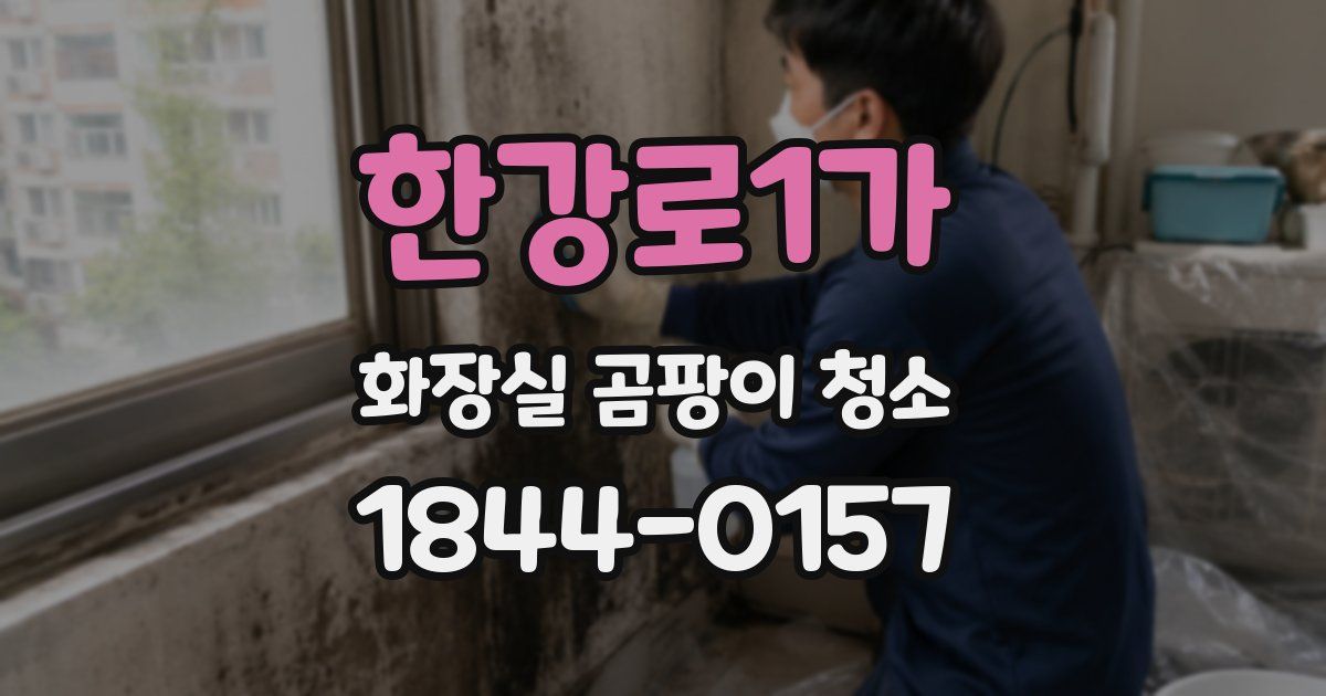 한강로1가 화장실 곰팡이 청소