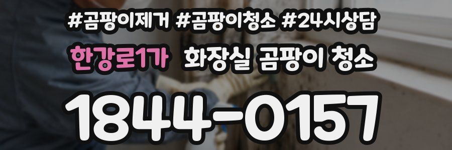 한강로1가 화장실 곰팡이 청소
