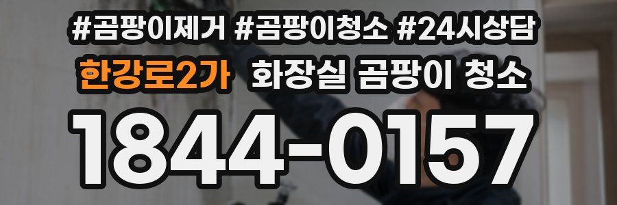 한강로2가 화장실 곰팡이 청소