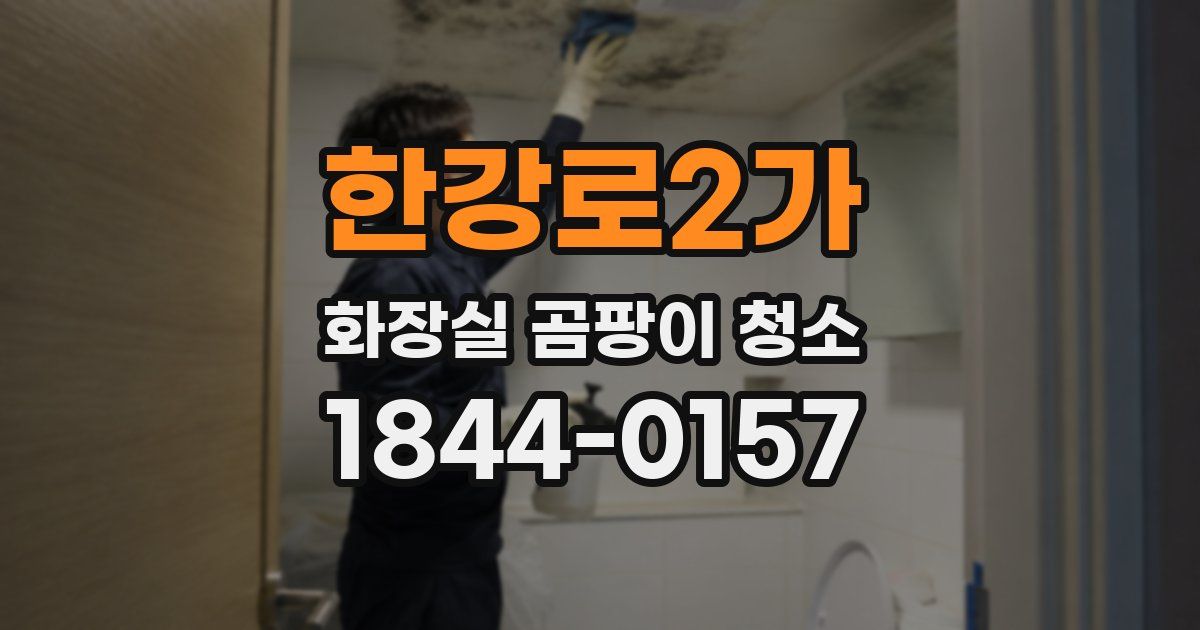 한강로2가 화장실 곰팡이 청소