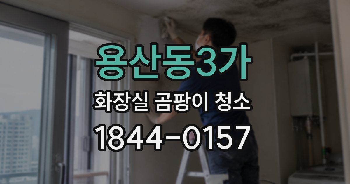 용산동3가 화장실 곰팡이 청소