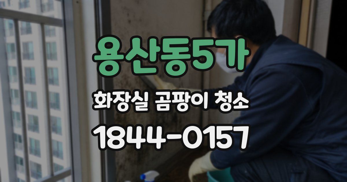 용산동5가 화장실 곰팡이 청소