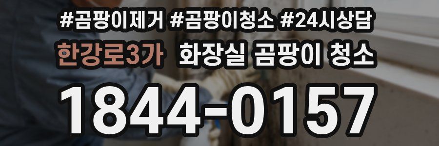 한강로3가 화장실 곰팡이 청소