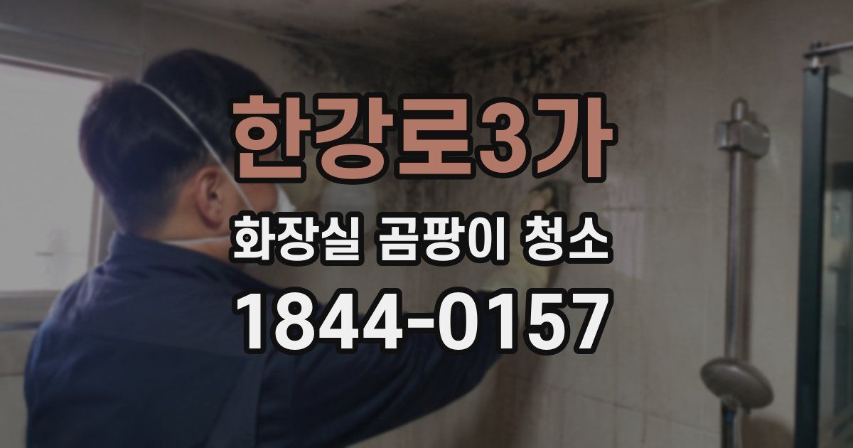 한강로3가 화장실 곰팡이 청소