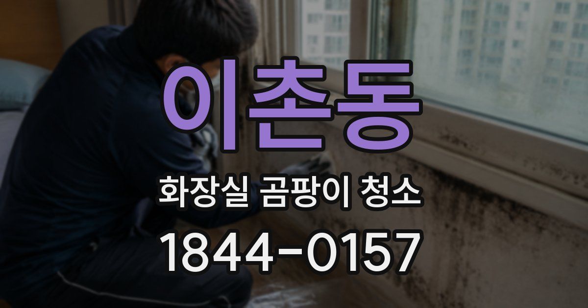 이촌동 화장실 곰팡이 청소