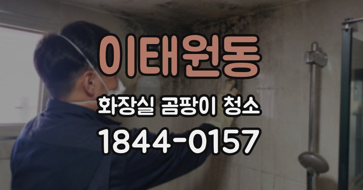 이태원동 화장실 곰팡이 청소