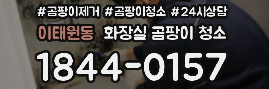 이태원동 화장실 곰팡이 청소