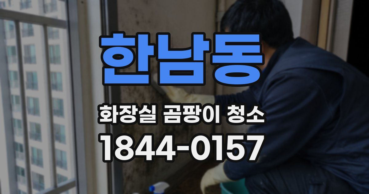 한남동 화장실 곰팡이 청소