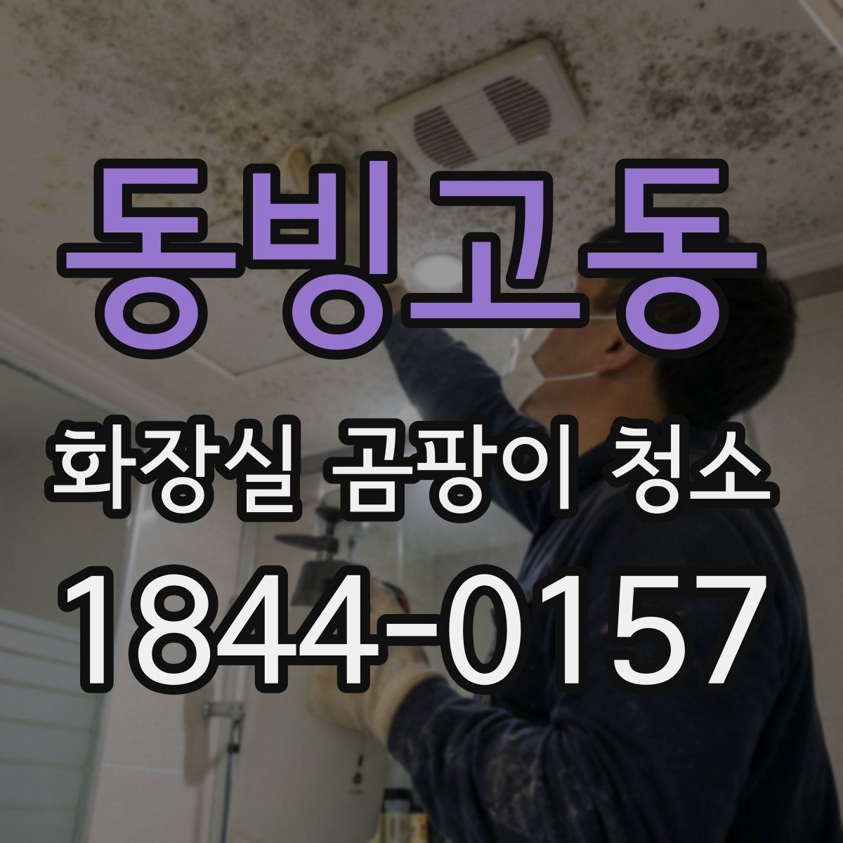 동빙고동 화장실 곰팡이 청소 벽면과 타일 경계선에서 볼 포인트