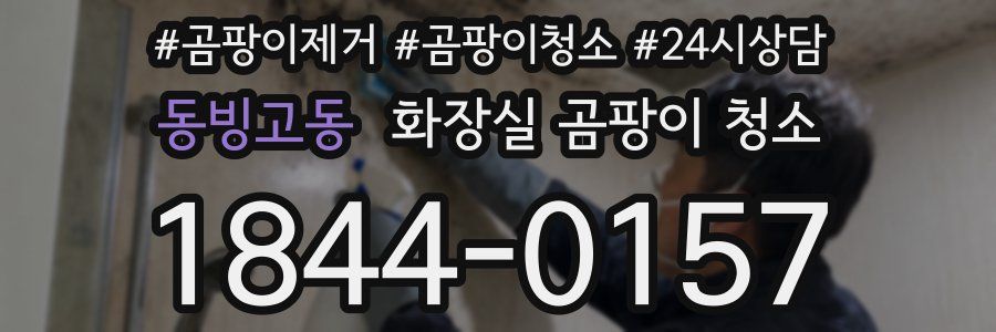 동빙고동 화장실 곰팡이 청소