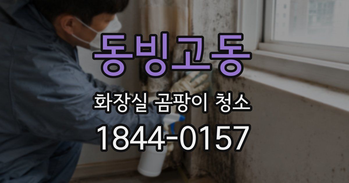 동빙고동 화장실 곰팡이 청소