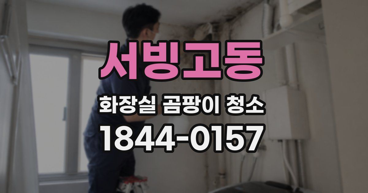 서빙고동 화장실 곰팡이 청소