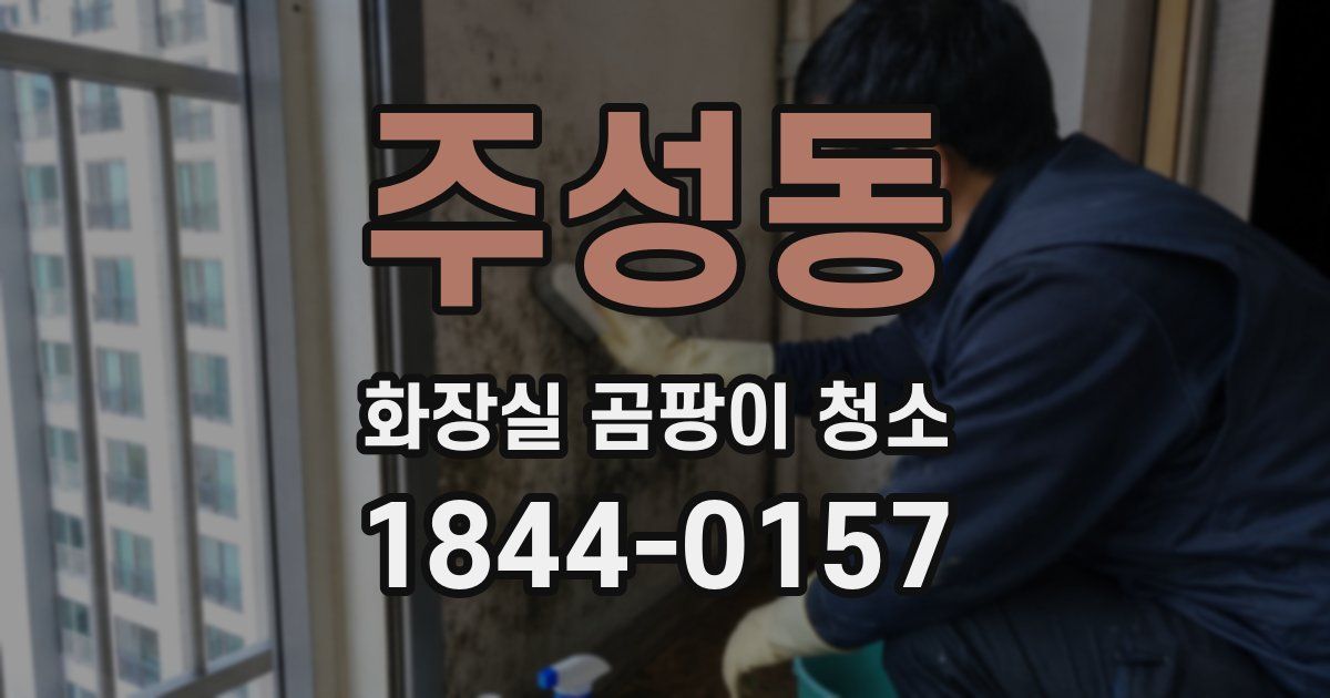 주성동 화장실 곰팡이 청소