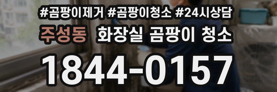 주성동 화장실 곰팡이 청소