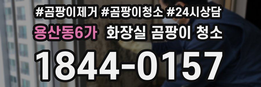 용산동6가 화장실 곰팡이 청소