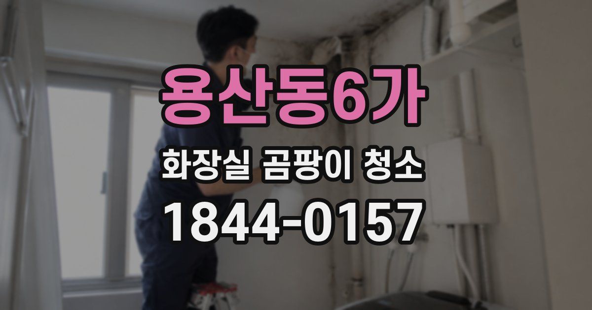 용산동6가 화장실 곰팡이 청소