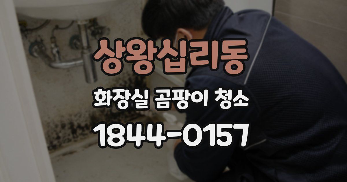 상왕십리동 화장실 곰팡이 청소