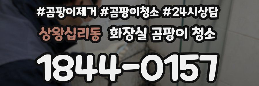 상왕십리동 화장실 곰팡이 청소