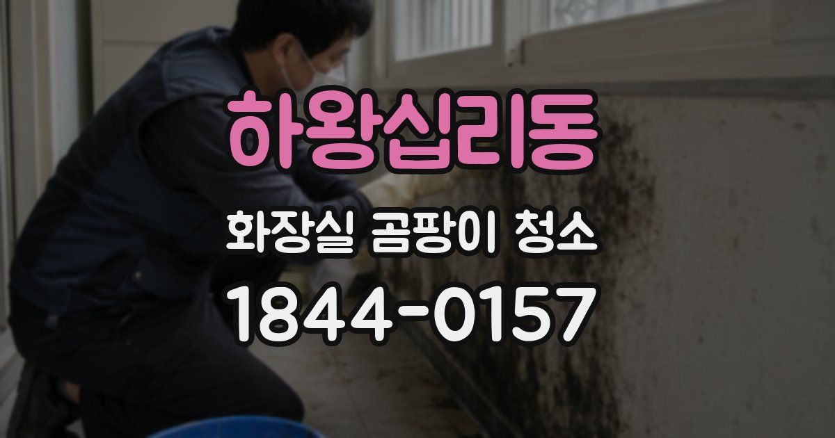 하왕십리동 화장실 곰팡이 청소
