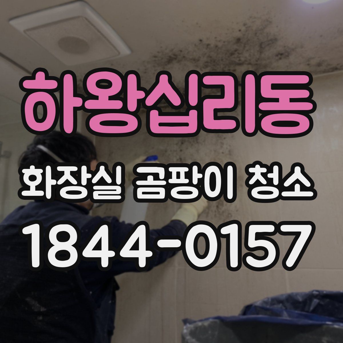 하왕십리동 화장실 곰팡이 청소