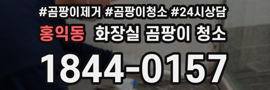 홍익동 화장실 곰팡이 청소