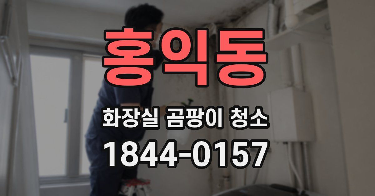 홍익동 화장실 곰팡이 청소