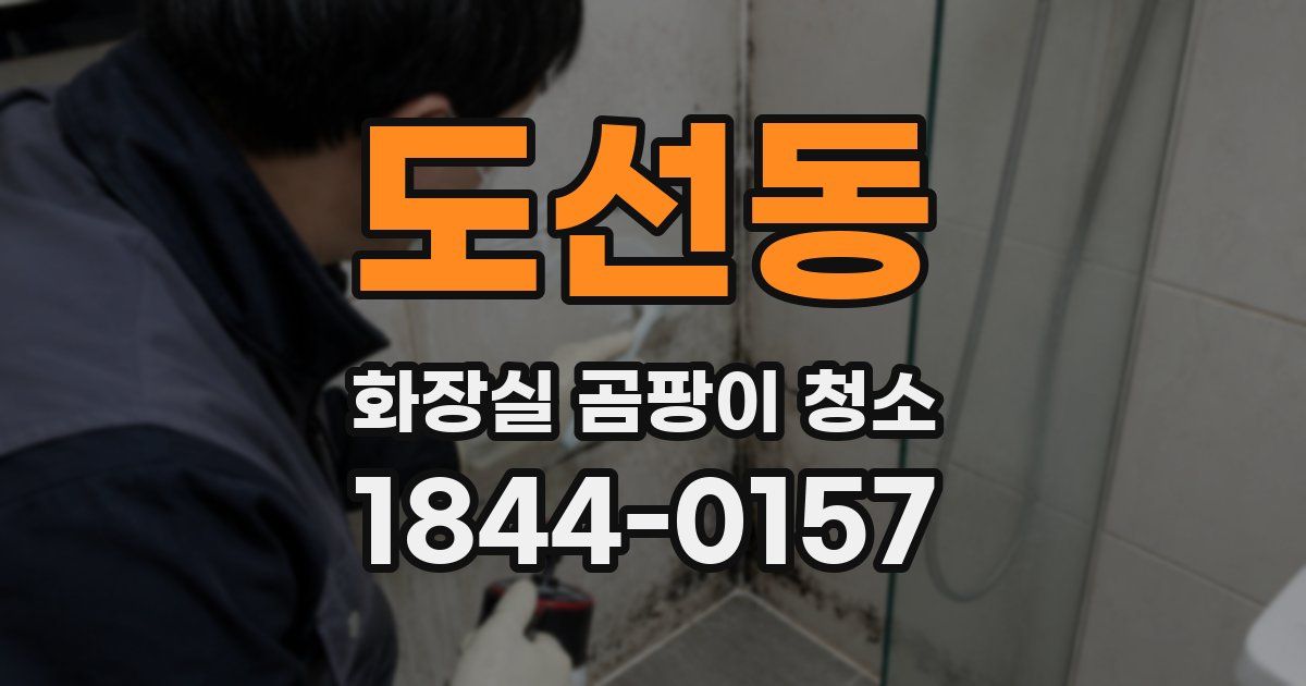 도선동 화장실 곰팡이 청소