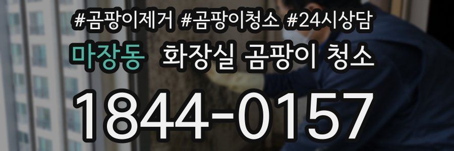 마장동 화장실 곰팡이 청소