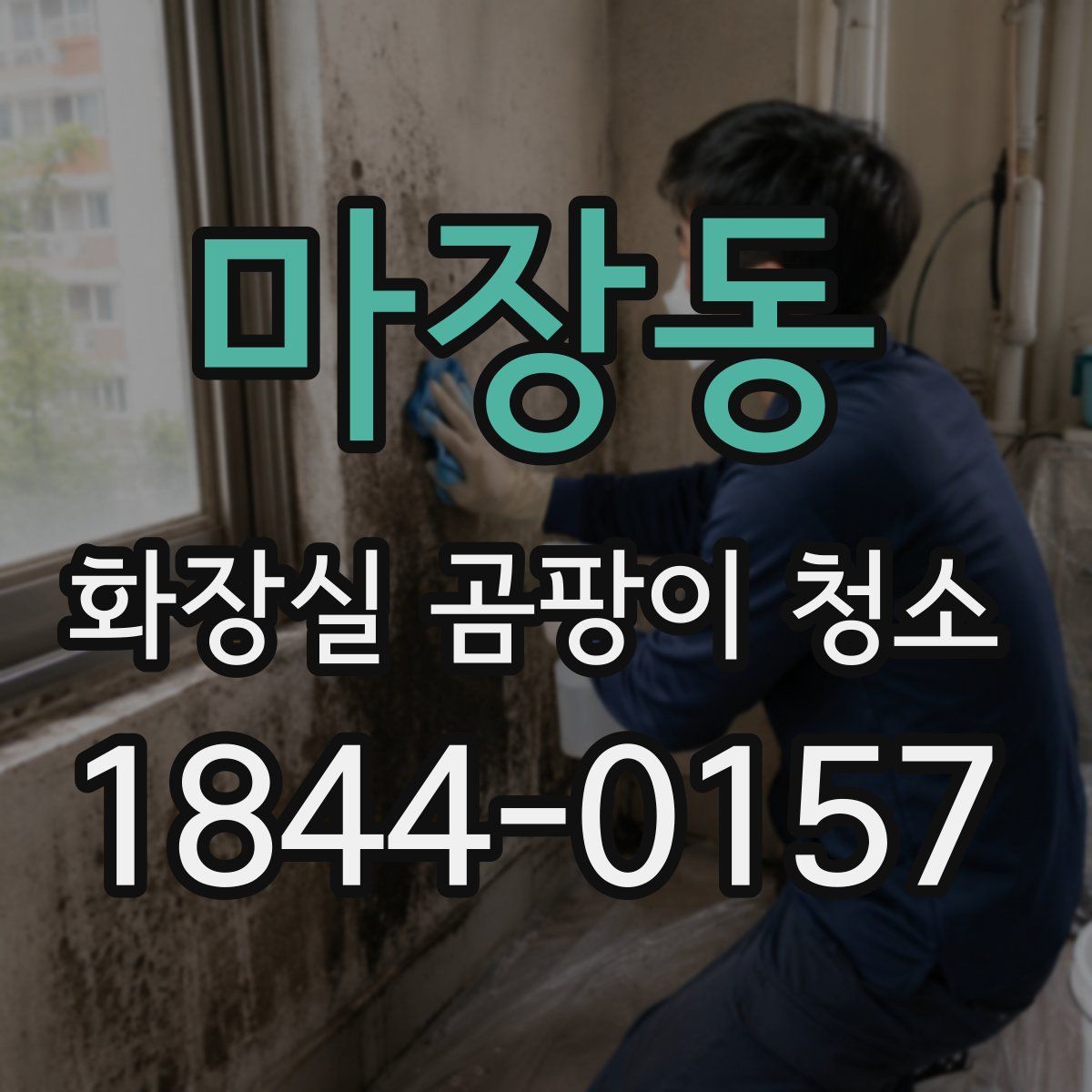 마장동 화장실 곰팡이 청소