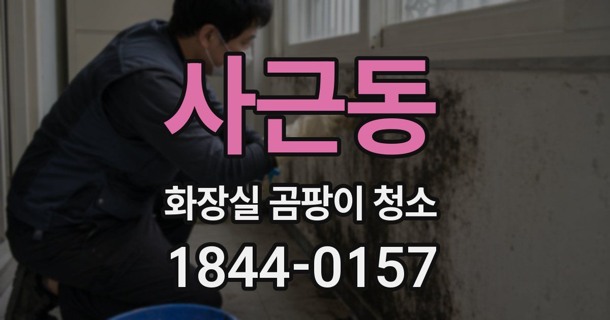 사근동 화장실 곰팡이 청소
