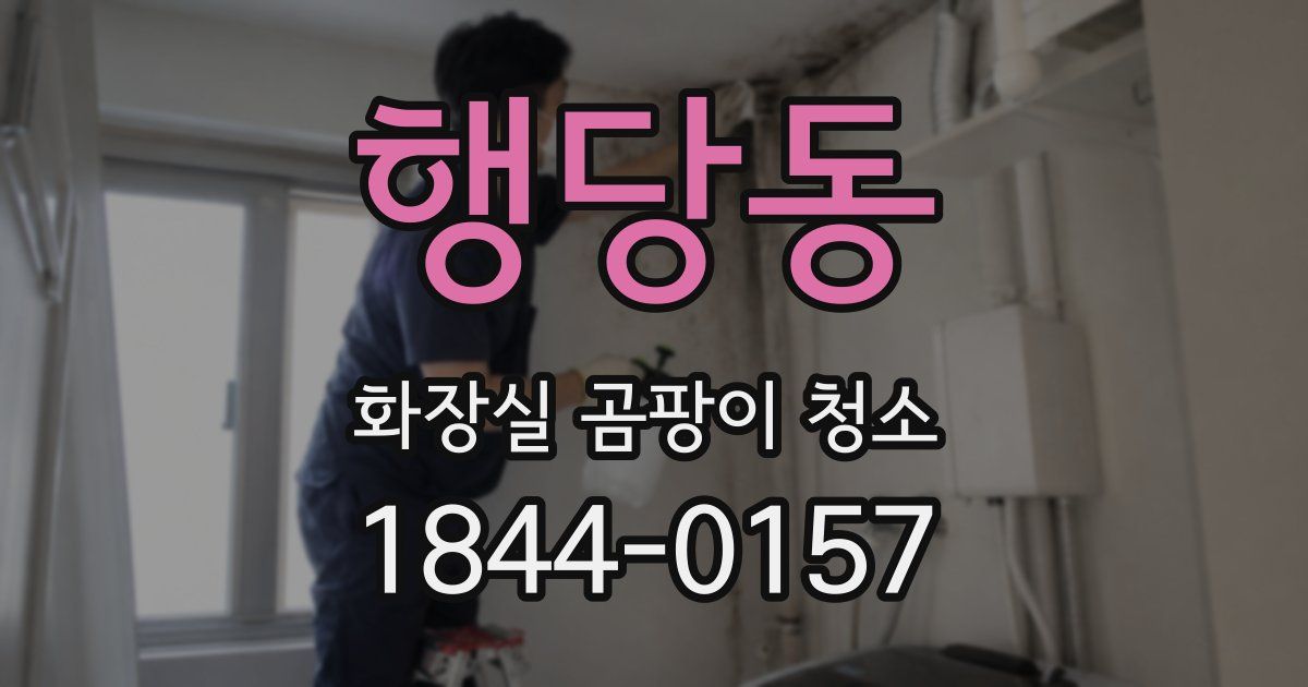 행당동 화장실 곰팡이 청소