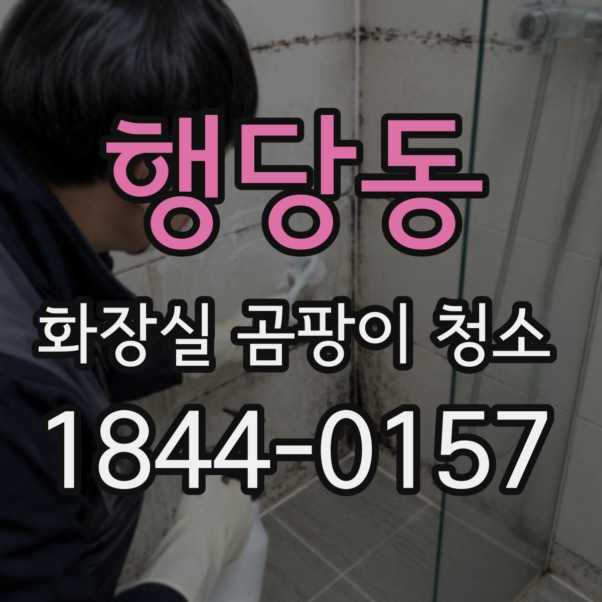 행당동 화장실 곰팡이 청소