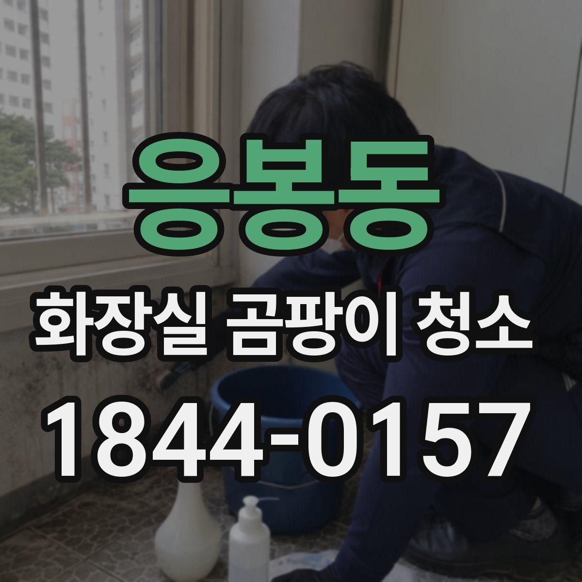 응봉동 화장실 곰팡이 청소