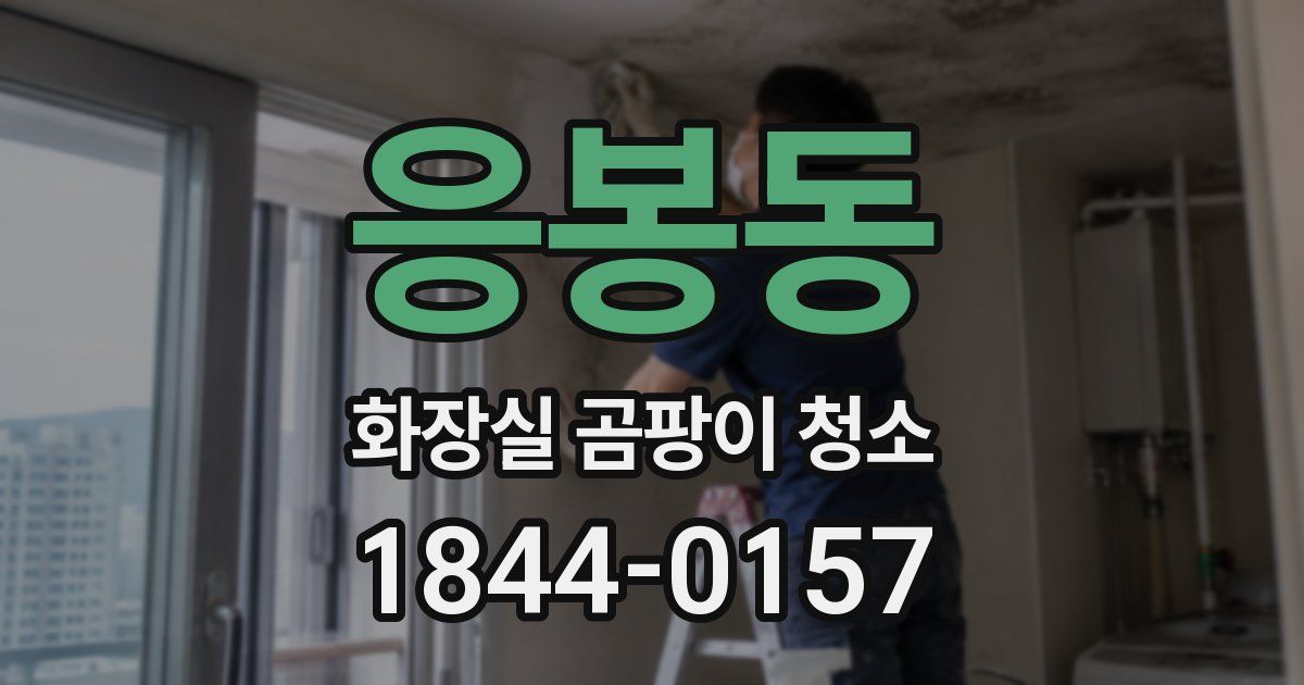 응봉동 화장실 곰팡이 청소