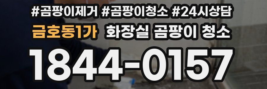 금호동1가 화장실 곰팡이 청소