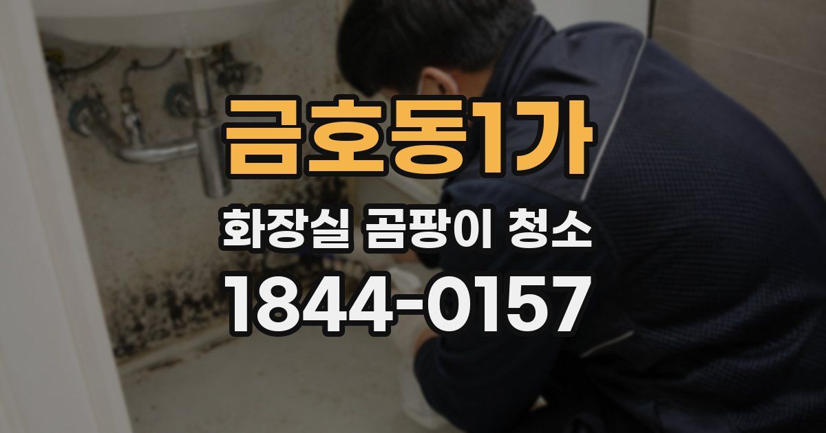 금호동1가 화장실 곰팡이 청소