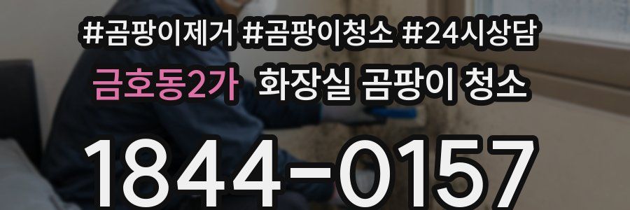 금호동2가 화장실 곰팡이 청소