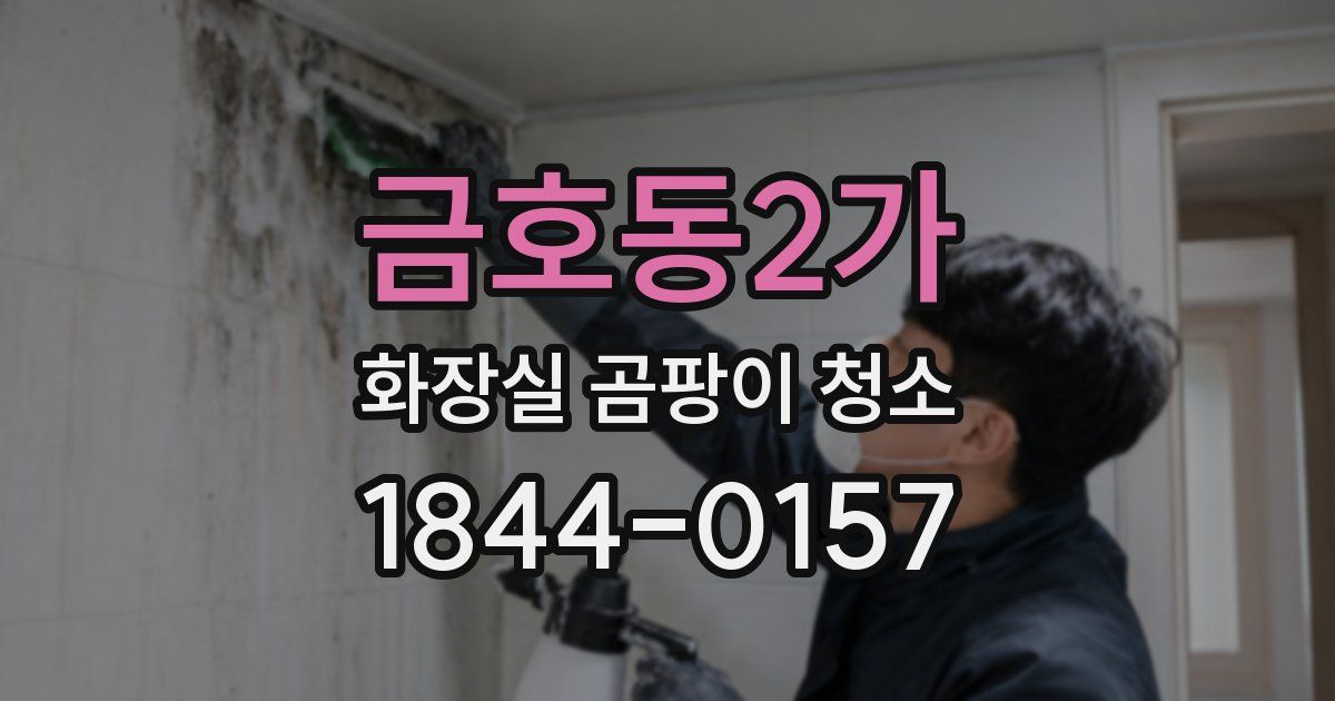 금호동2가 화장실 곰팡이 청소