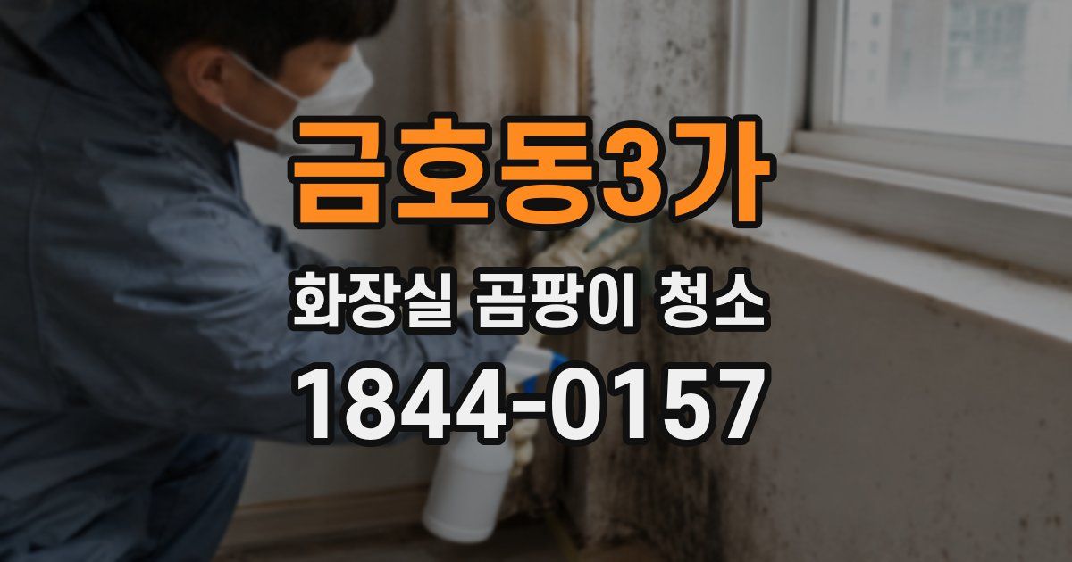 금호동3가 화장실 곰팡이 청소