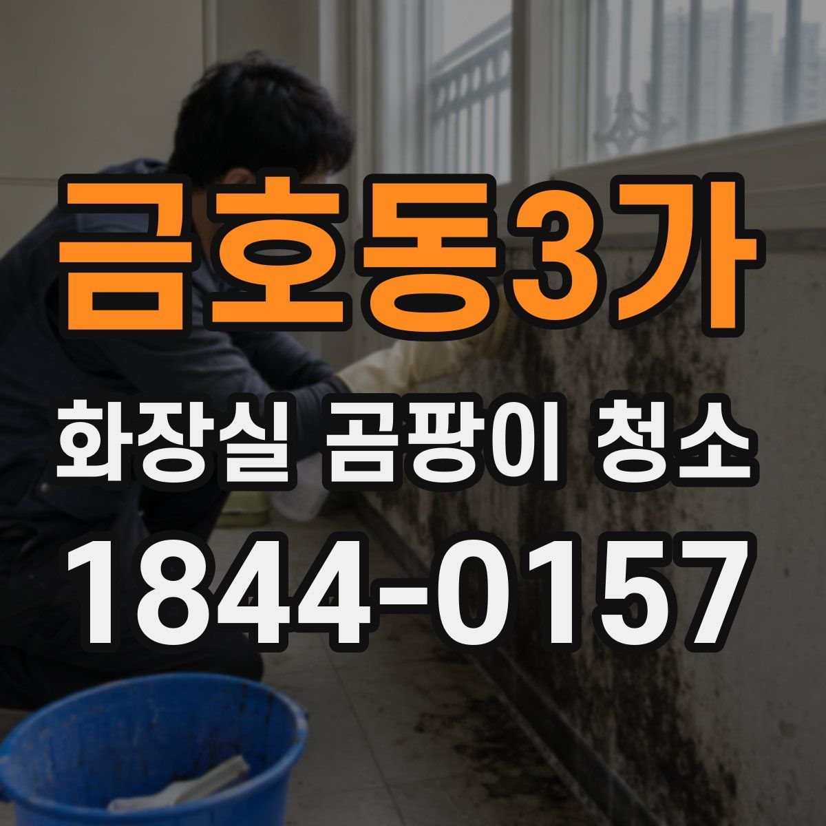 금호동3가 화장실 곰팡이 청소