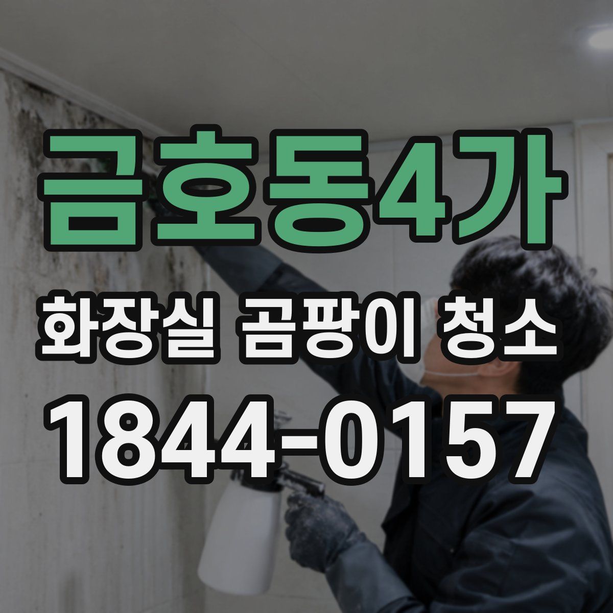 금호동4가 화장실 곰팡이 청소