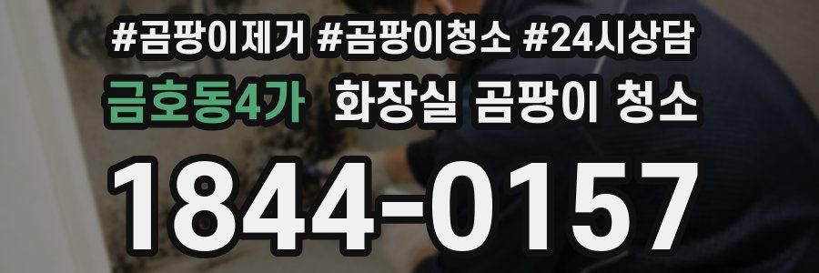 금호동4가 화장실 곰팡이 청소