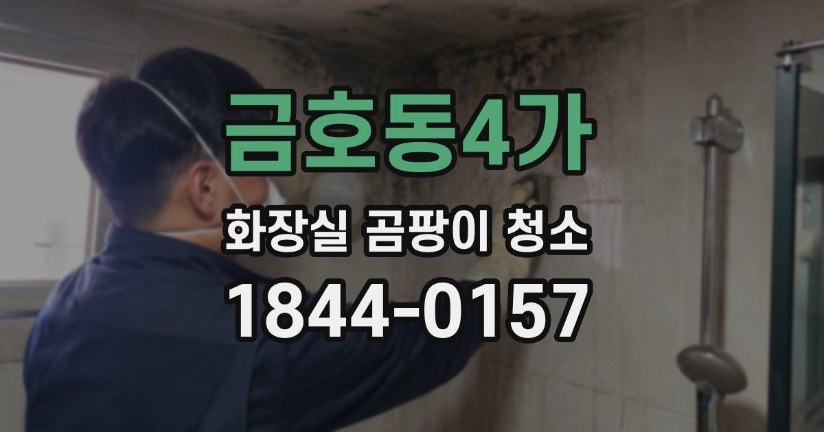 금호동4가 화장실 곰팡이 청소