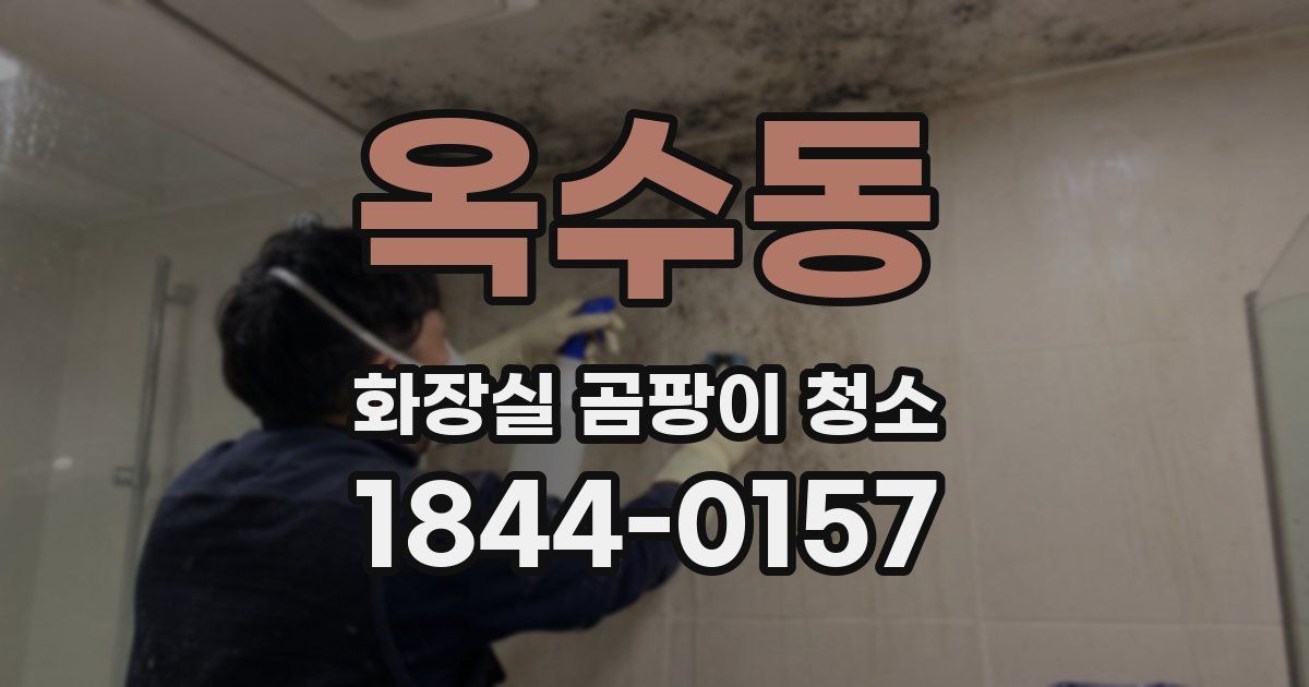 옥수동 화장실 곰팡이 청소