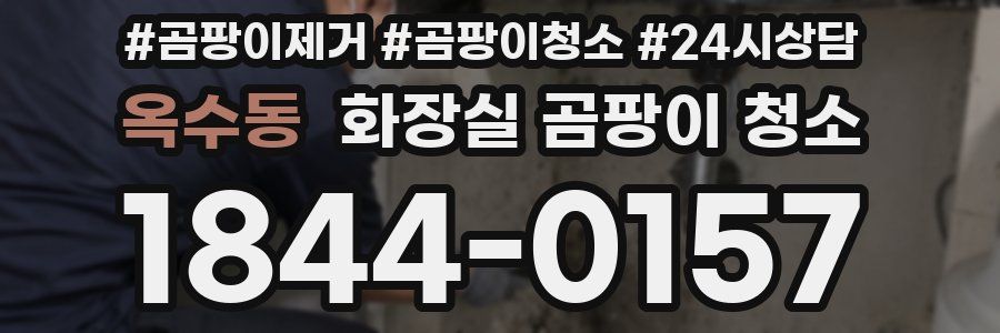 옥수동 화장실 곰팡이 청소